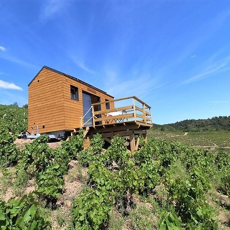 Tiny House Au Coeur Du Vignoble Beaujolais Hotell Fleurie Eksteriør bilde