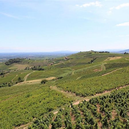 Tiny House Au Coeur Du Vignoble Beaujolais Hotell Fleurie Eksteriør bilde
